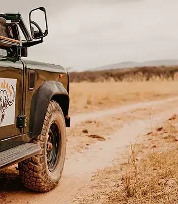 Game Drive